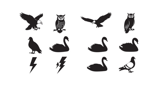 Avian species silhouette set with eagles owls swans and pigeons including lightning bolt weather icons for modern design.