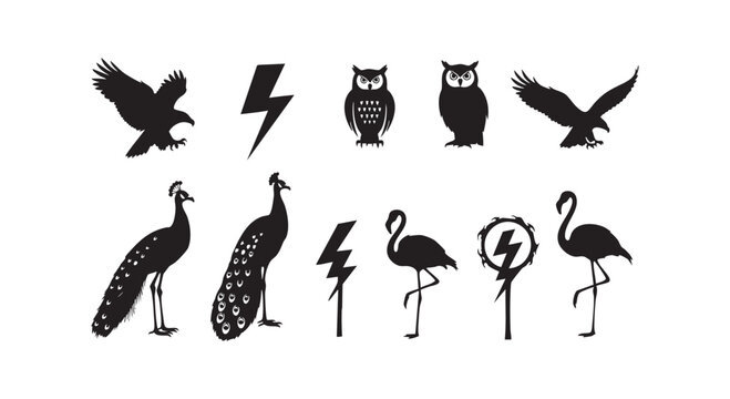 Birds and lightning bolts silhouetted in black against a clean white background, creating a collection of simple graphics.