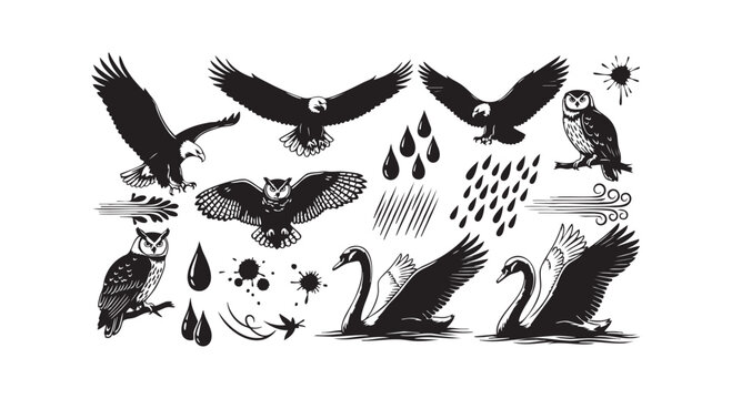 Black and white bird silhouettes of eagles owls and swans with rain drops wind gusts and ink splatters on white surface.