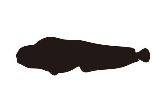 Wolf Eel Silhouette Illustration Isolated on White Background