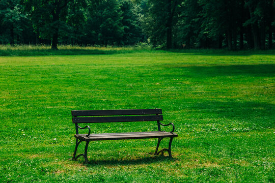 Lonely park bench on green lawn with forest behind, summer, peaceful, nature