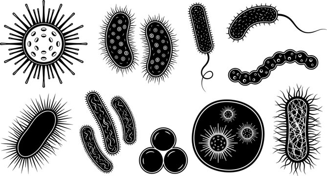 Set of microscopic bacteria viruses and germs black silhouettes vector illustration for science and medical designs