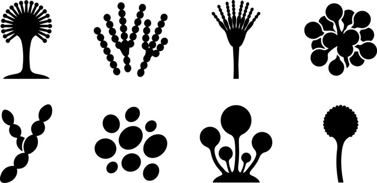 Vector set of black microscopic mold fungi and bacteria silhouette icons isolated on white background