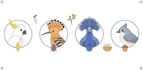 Exotic and Backyard Bird Icon Set with Cockatoo, Hoopoe, Victoria Crowned Pigeon, and Tufted Titmouse Vector Graphic Illustration Designs © MstRabeya