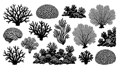 Hand Drawn Coral Silhouette Icon Collection © Prodip