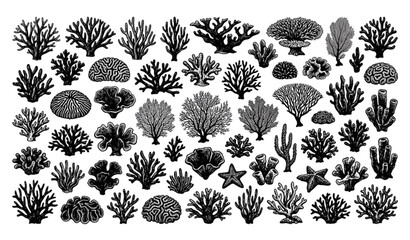 Ocean Coral Reef Silhouette Vector Icons © Prodip