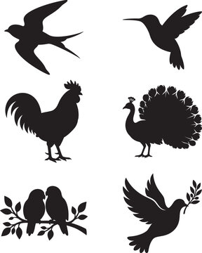 Set of various bird silhouettes isolated 