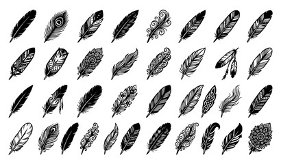 Obraz premium Professional Feather Vector Bundle with Bird Feather Symbols for Decoration Logo and Tattoo Design
