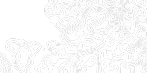 Topographic seamless map pattern with contour lines. Abstract geographic elevation design, lines sea map modern white background. © coal digger