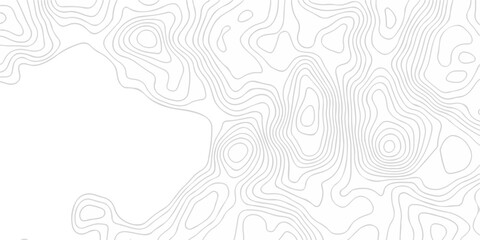 Topographic seamless map pattern with contour lines. Abstract geographic elevation design, lines sea map modern white background. © coal digger
