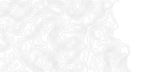 Topographic seamless map pattern with contour lines. Abstract geographic elevation design, lines sea map modern white background. © coal digger