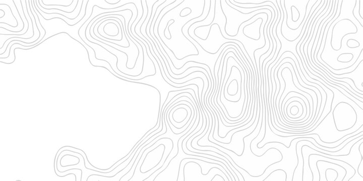 Topographic seamless map pattern with contour lines. Abstract geographic elevation design, lines sea map modern white background.