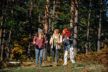 Fototapeta premium Women friends hiking in forest enjoying autumn nature