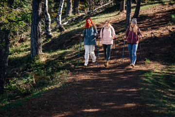 Fototapeta premium Women friends hiking forest trail with trekking poles