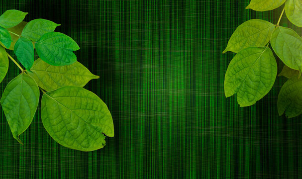 Fresh green leaves forming a natural border on an abstract green textured background with vertical digital patterns and ample copy space. Ideal for eco-friendly designs, environmental concepts.