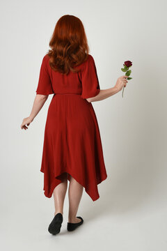 Full length portrait of beautiful redhead model wearing elegant red modern dress. standing pose, walking away facing backwards, holding a romantic red rose, isolated figure studio background