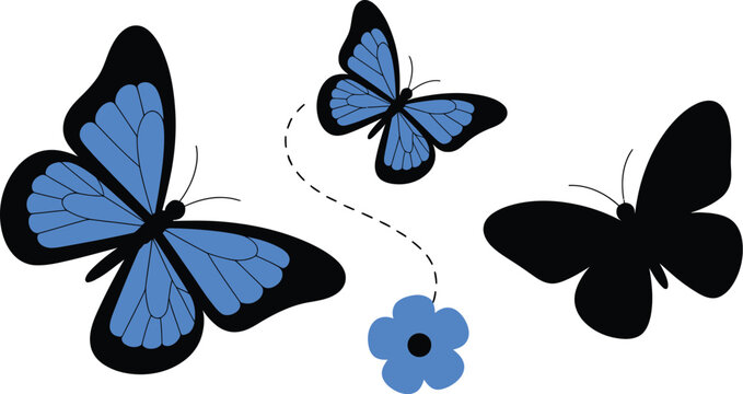 Blue morpho butterfly, silhouettes, butterfly and flower symbols representing garden nature spring beauty and decorative design elements.