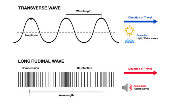 Educational infographic comparing transverse and longitudinal waves, illustrating wavelength, amplitude, compression, rarefaction, and wave propagation direction for physics and science learning