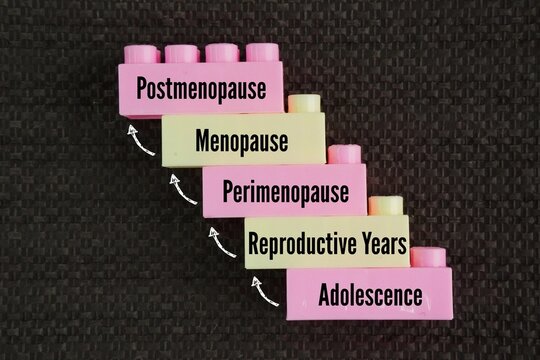 What are the 5 stages of a woman's life? The five primary stages are Adolescence, Reproductive Years, Perimenopause, Menopause, and Postmenopause word. 