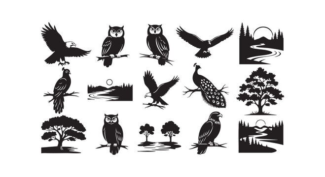 Graphic set of bird silhouettes and nature scenes featuring eagles owls peacocks trees and river landscape icons.