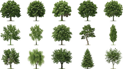 Fototapeta premium Set of sixteen diverse tree illustrations highlighting unique shapes, foliage density, and branching patterns for landscape and design projects