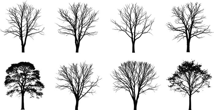 Silhouette illustration of diverse tree shapes with leafless and leafy branches arranged in rows on white background