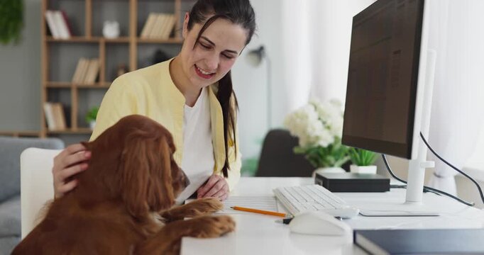 Woman working at home office computer with dog. At a tidy desk she focuses, pet companion nearby. Remote freelance workflow and calm interior emphasize productivity. Work life balance with a pet.