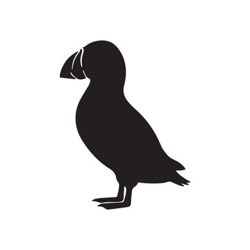 Atlantic puffin silhouette icon vector flat design