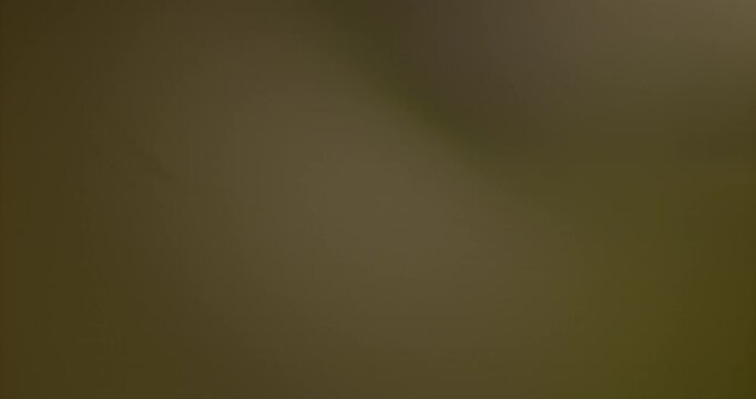 Slow motion cinematic lens flare and light leak effect isolated on black background. Perfect overlay for VFX, transitions, title reveals, film burn style and glow highlights.