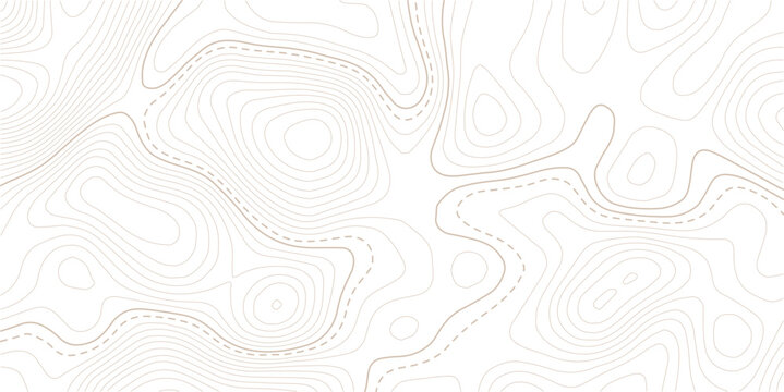 Topographic map background with mountain texture and grid.Topo contour map. Rendering abstract illustration.