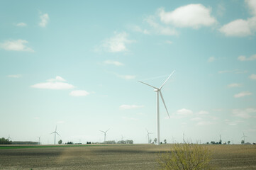 Fototapeta premium Wind turbines turning in a vast rural field with copy space