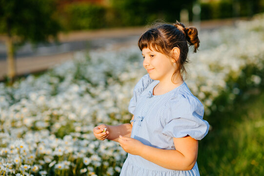 Child girl standing beside blooming daisies in meadow
