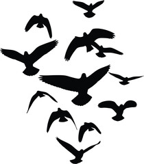 Black Birds Flying Silhouettes on White Background © Yasmeen 