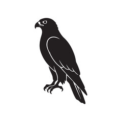 Fototapeta premium Arabic hawk silhouette icon vector flat design