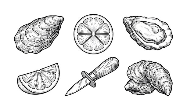 Oyster and seafood collection featuring lemon, shucking knife, shells and fresh raw gourmet delicacies