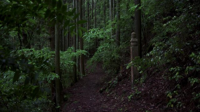 45th Stone Marker on the Koyasan Choishimichi Pilgrimage Trail, Koya Town, Wakayama, Japan　「高野参詣道 町石道・45町石」和歌山県高野町