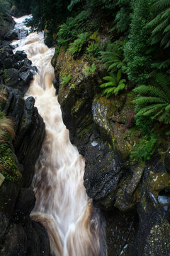 Turbulent Waters, Leven River Gorge, Tasmania