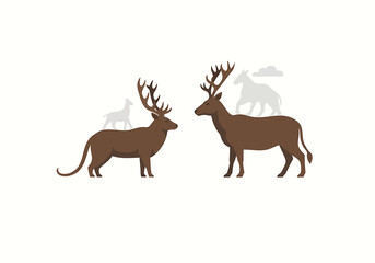 Fototapeta premium Brown Deer Facing Each Other on White Background