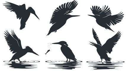Obraz premium Kingfisher bird silhouettes set, black flying kingfisher vector icons, wild bird hunting and fishing poses, 6 nature elements for logo design