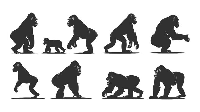 Gorilla silhouette vector collection, black ape and primate silhouettes in various poses, wild silverback and baby gorilla icons set