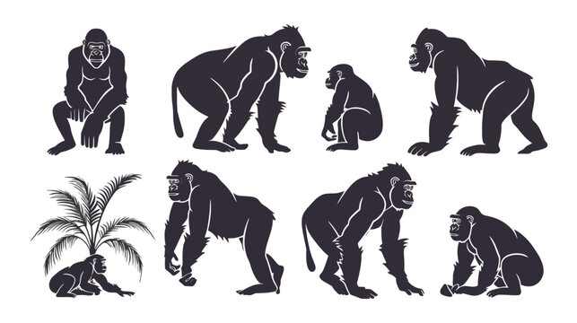 Gorilla silhouette vector set, black ape icons in various poses, wild primate collection with palm tree, 8 jungle animal elements for logo design