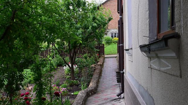 A steady rain shower falls on a peaceful domestic garden, featuring a wet paved walkway running alongside a house exterior, bordered by lush green trees, blooming flowers