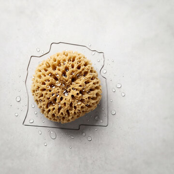 Sponge shaped like abstract land parcel holding water drops