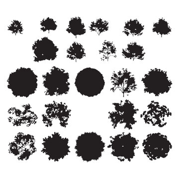 Set of mixed top view tree and shrub silhouettes for architectural site plan drawings.