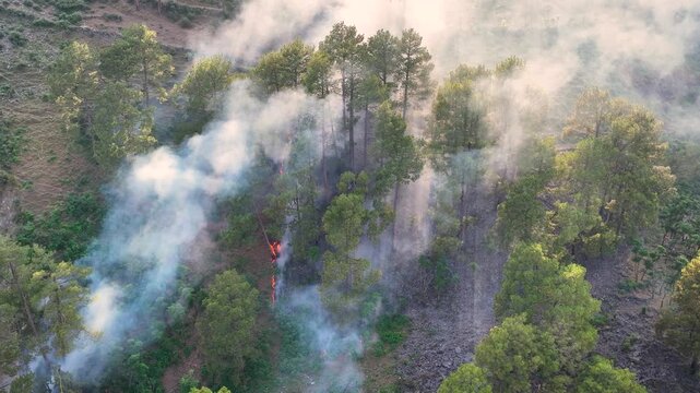 Cinematic aerial of toxic smoke from mountain wildfire in Kashmir.