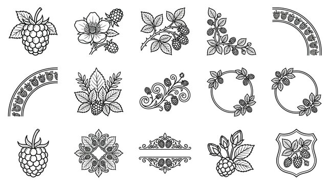 Hand-Drawn Berry Elements: Raspberries, Leaves, Frames, Borders, Wreaths
