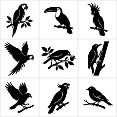 Collection Of Tropical Bird Silhouettes A Black And White Vector Illustration Series avian birds © Deleour Hossain