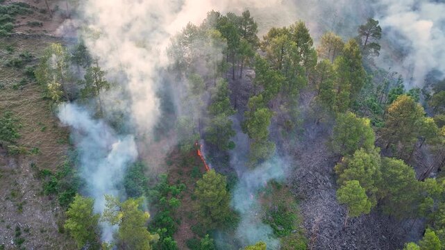 Drone tracking smoke from burning forest near NH44 highway in India.