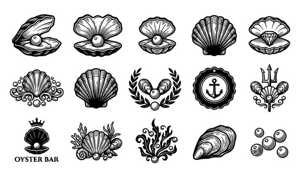 Hand drawn oyster and pearl silhouette set with engraved clam scallop shells for seafood restaurant menu and luxury logo vector design