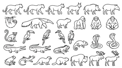 Naklejka premium Minimalist jungle animal icons set, black line art wildlife vector collection, exotic tropical fauna illustrations for educational infographics